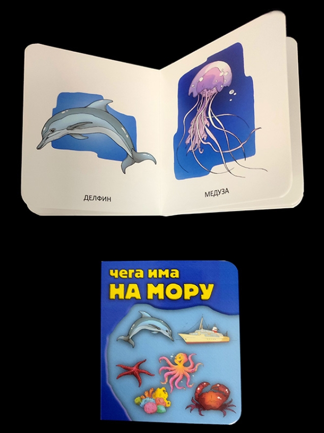 ČEGA IMA na moru