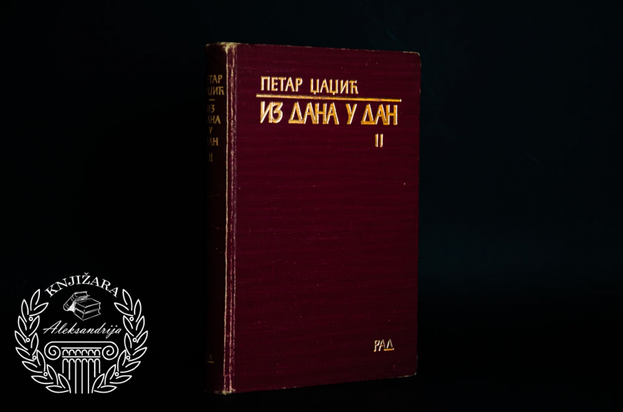 IZ DANA U DAN / Knjiga 1 - Petar Džadžić 