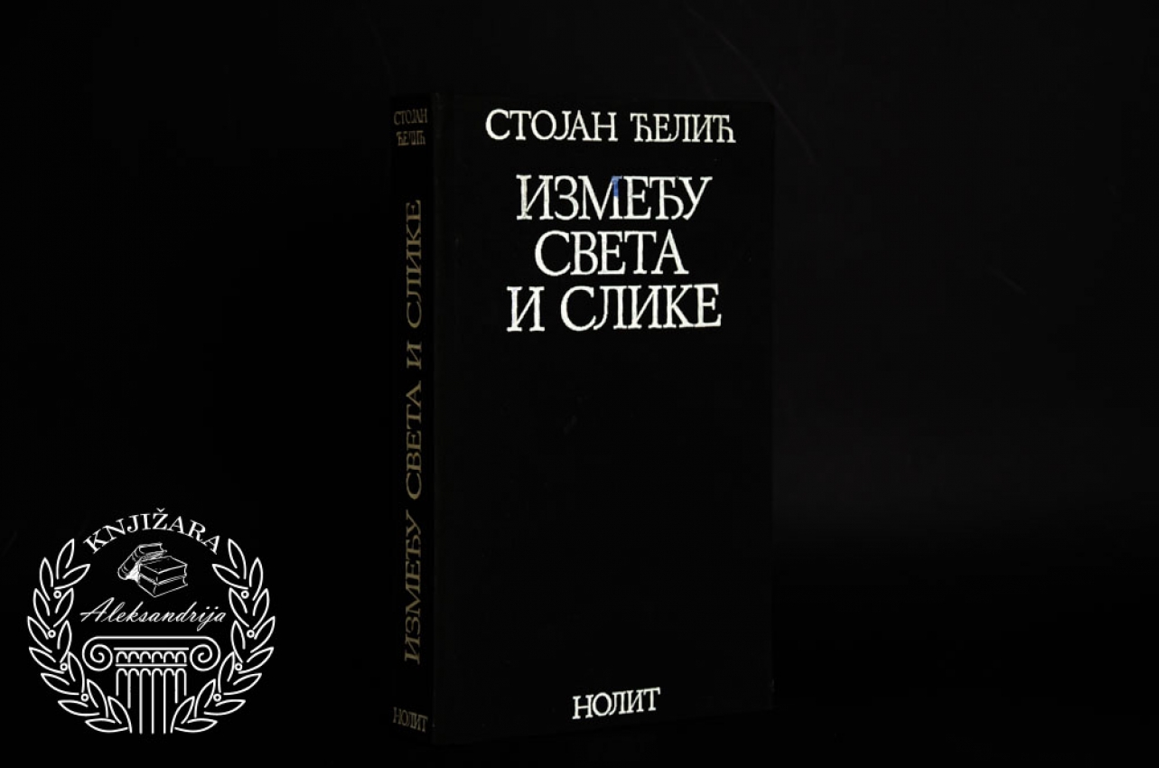 IZMEĐU SVETA I SLIKE - Stojan Đelić 