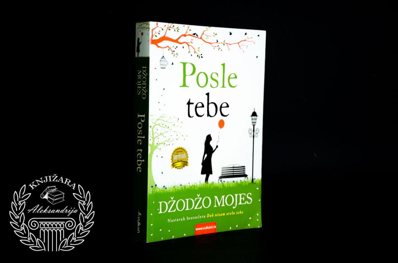 POSLE TEBE - Džodžo Mojes 
