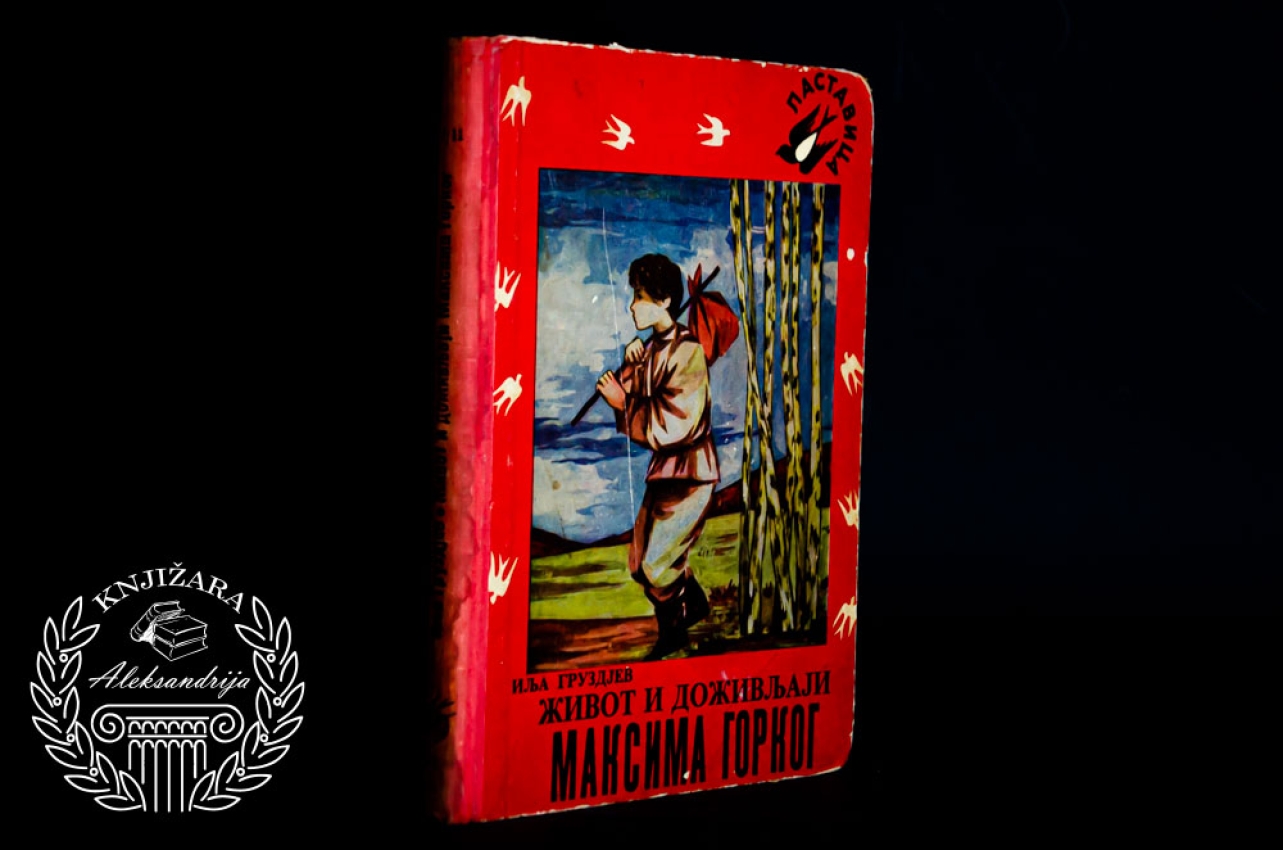 ŽIVOT I DOŽIVLJAJI MAKSIMA GORKOG - Ilja Gruzdjev