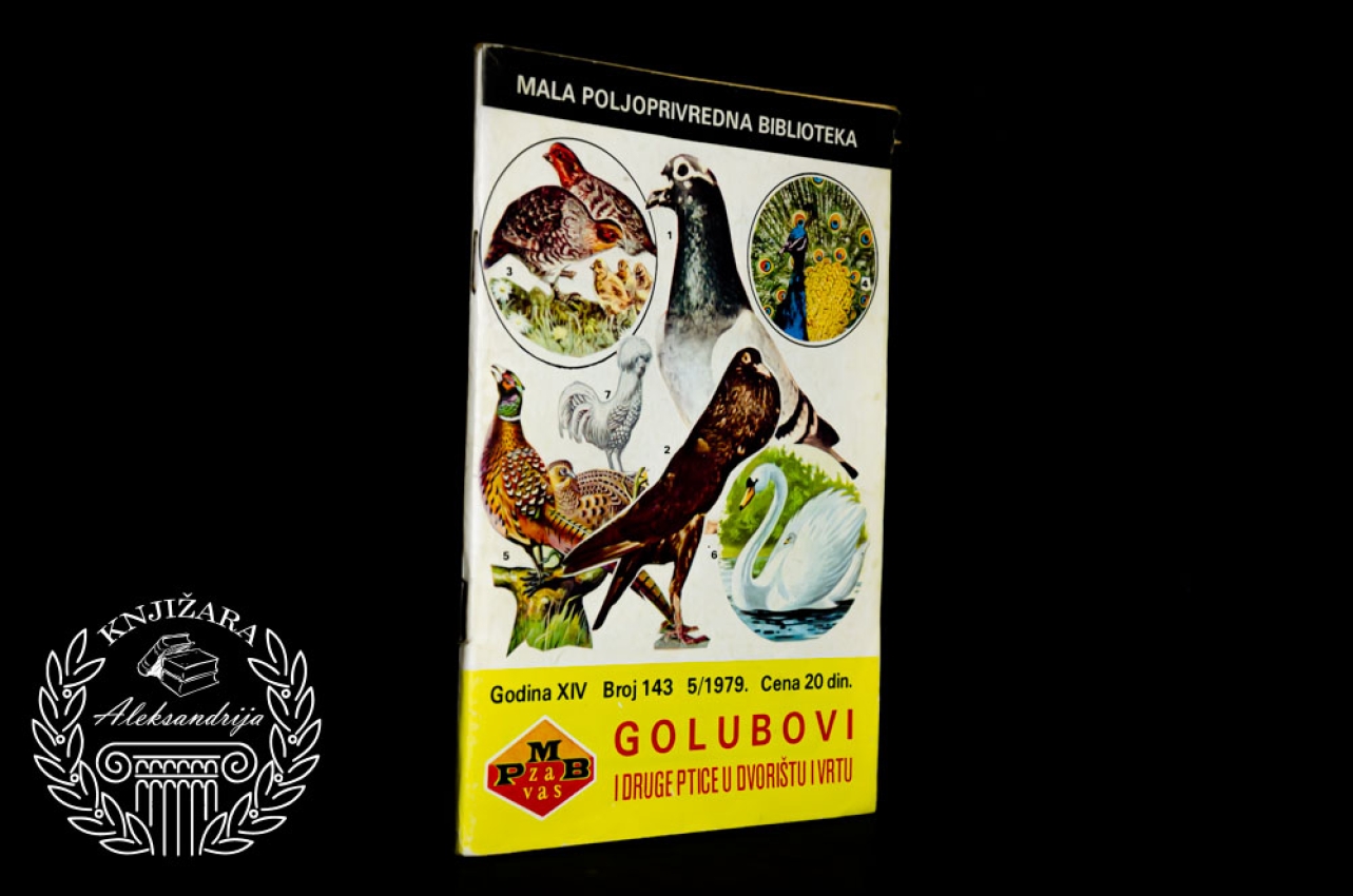 GOLUBOVI I DRUGE PTICE U DVORIŠTU I VRTU 