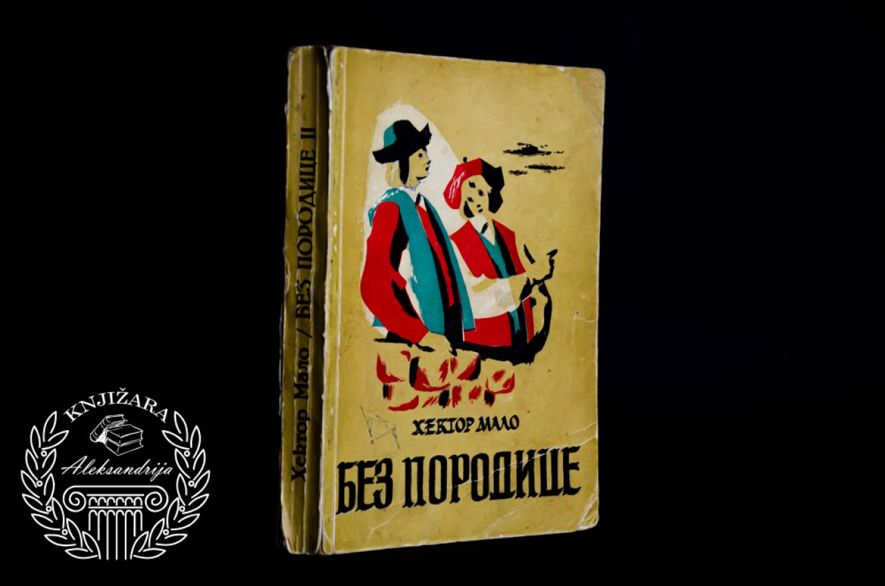 BEZ PORODICE / Knjiga 2 - Hektor Malo 