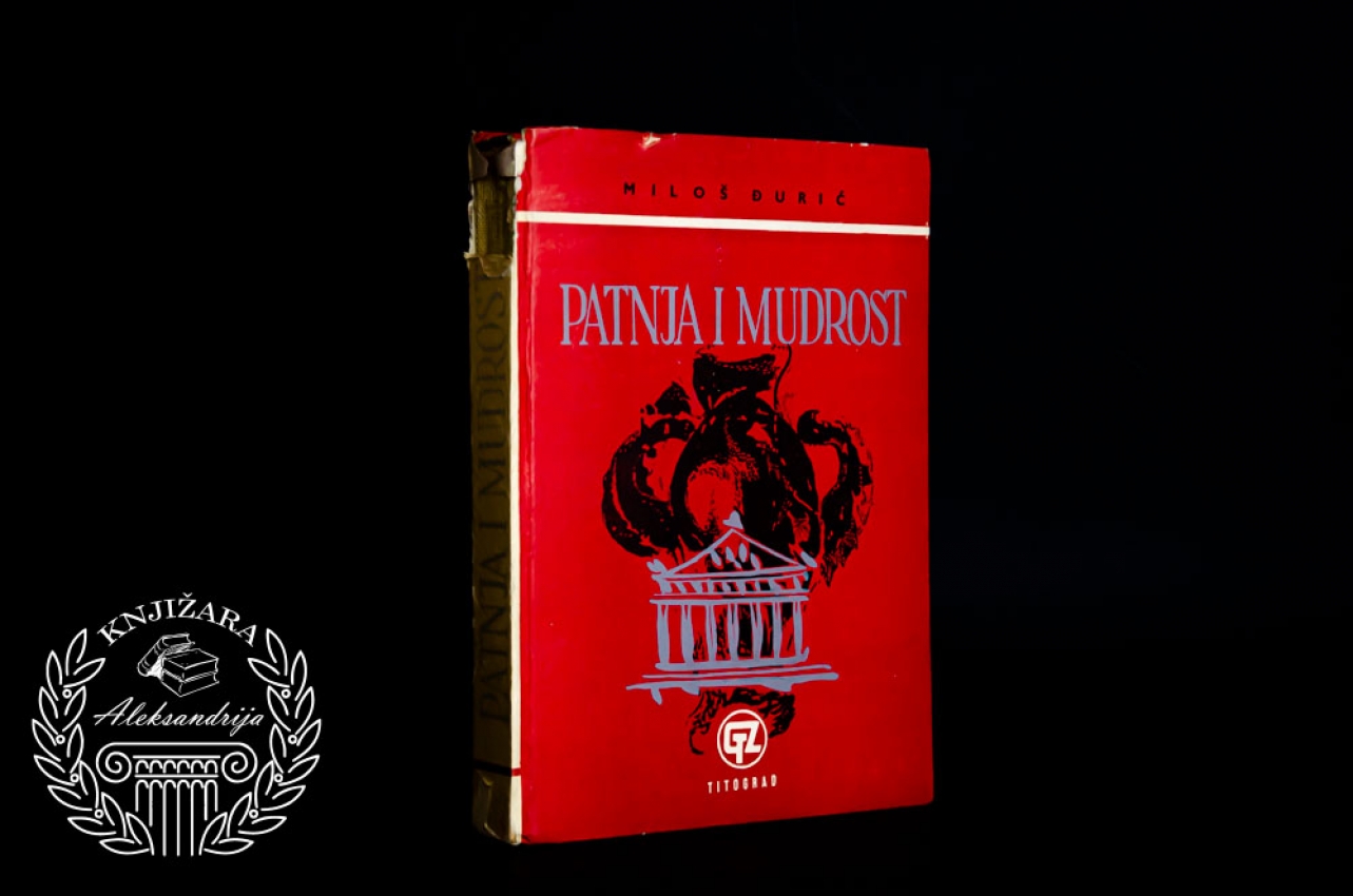 PATNJA I MUDROST - Miloš Đurić 